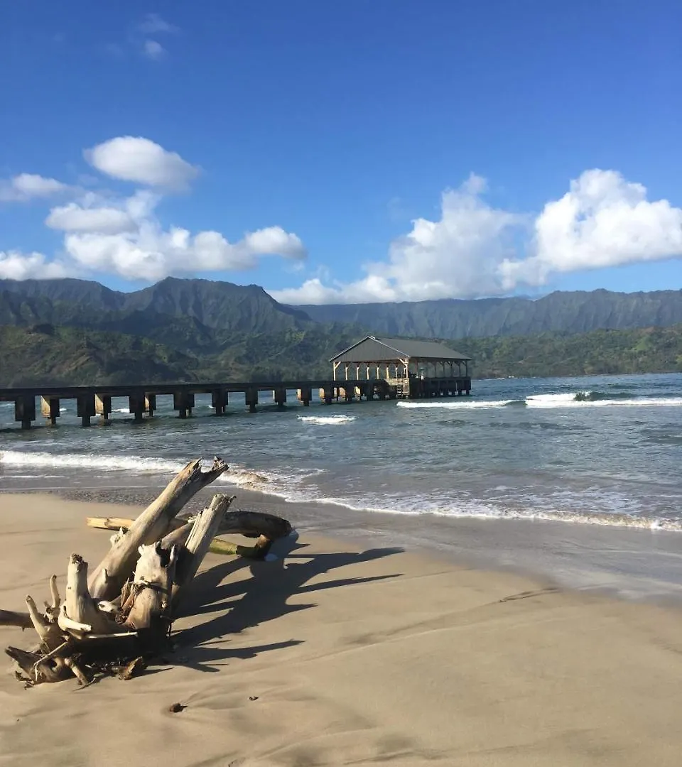 Дом отдыха Kauai Vacation Home Принсвилл США